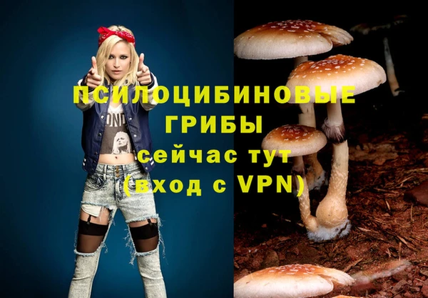 дмт Алексеевка