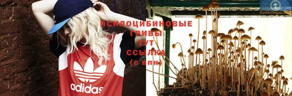 дмт Алексеевка