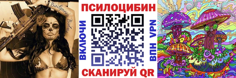 купить закладку ОМГ ОМГ сайт Псилоцибиновые грибы ЛСД Кедровый